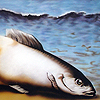 Fisch (Kopie v. Maggritt)